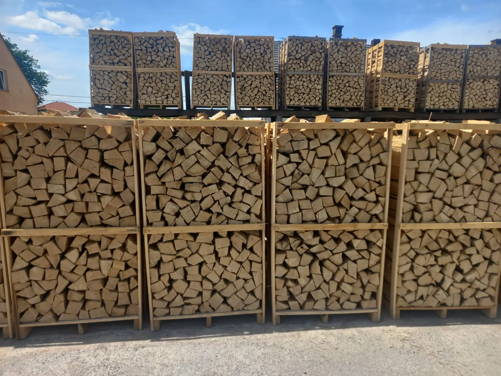 BUKVA SUHO (1. klasa)  1x1x1.8m  DOSTAVA