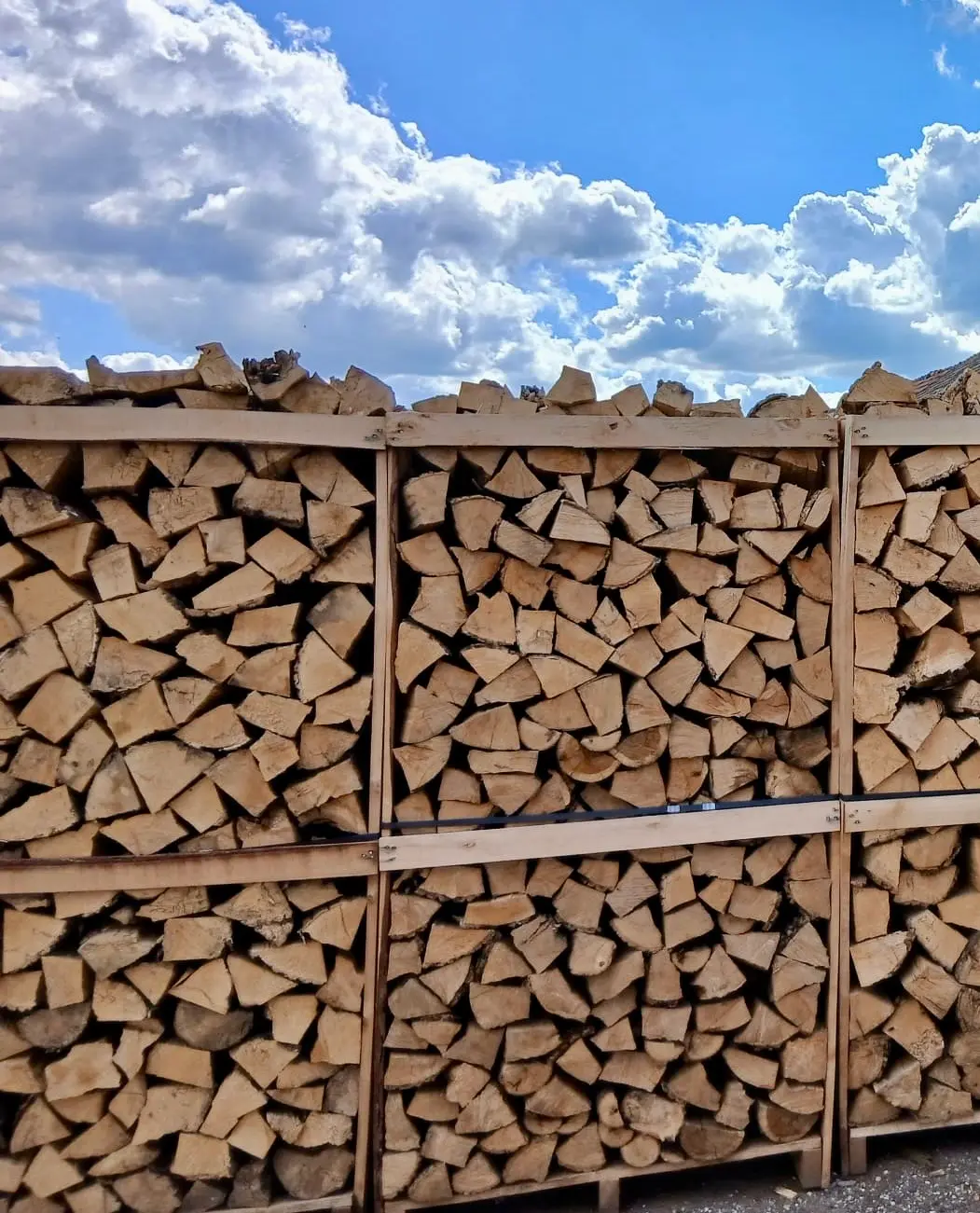 JASEN  (2. KLASA)  1x1x1.8m  DOSTAVA