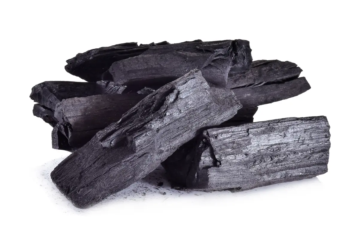 Premium Drveni Ugljen za roštilj (bukva)-15kg DOSTAVA