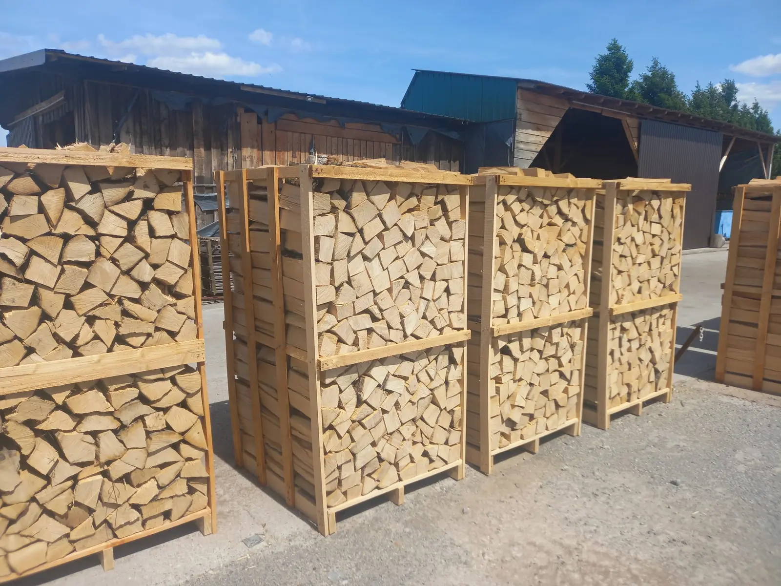 BUKVA (1. klasa)  1x1x1.8m DOSTAVA